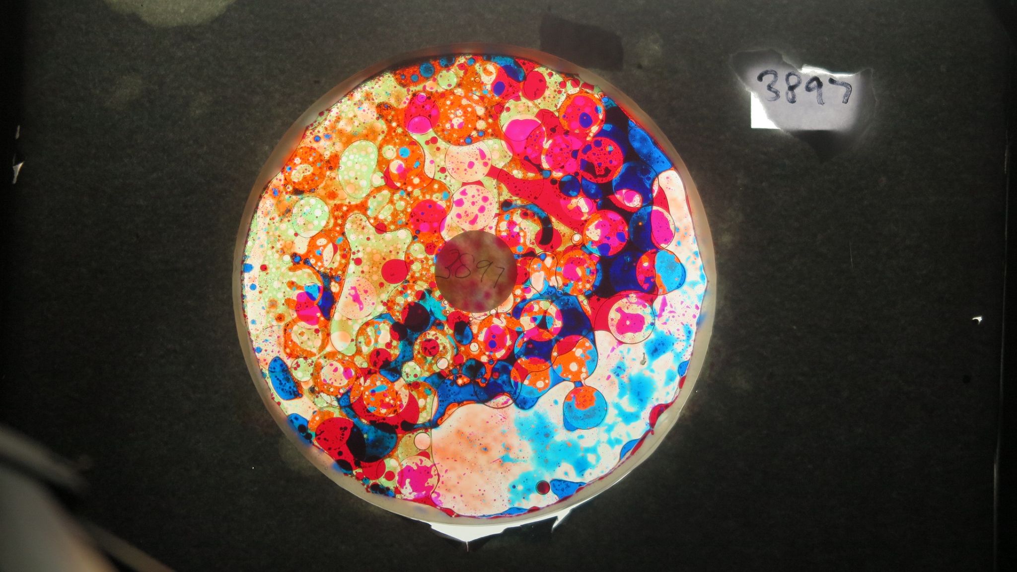 BV3897 bubble vision oil wheel